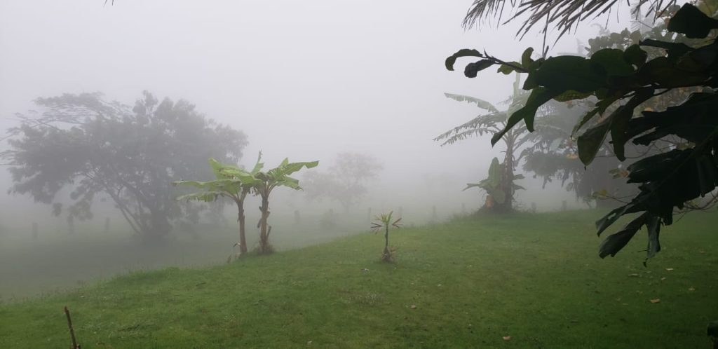 Fog in Mato Grosso.