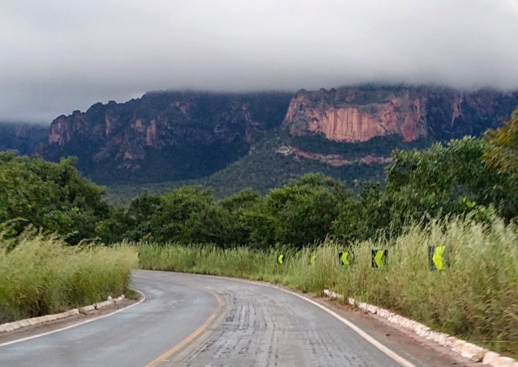 Landscape in Mato Grosso.
